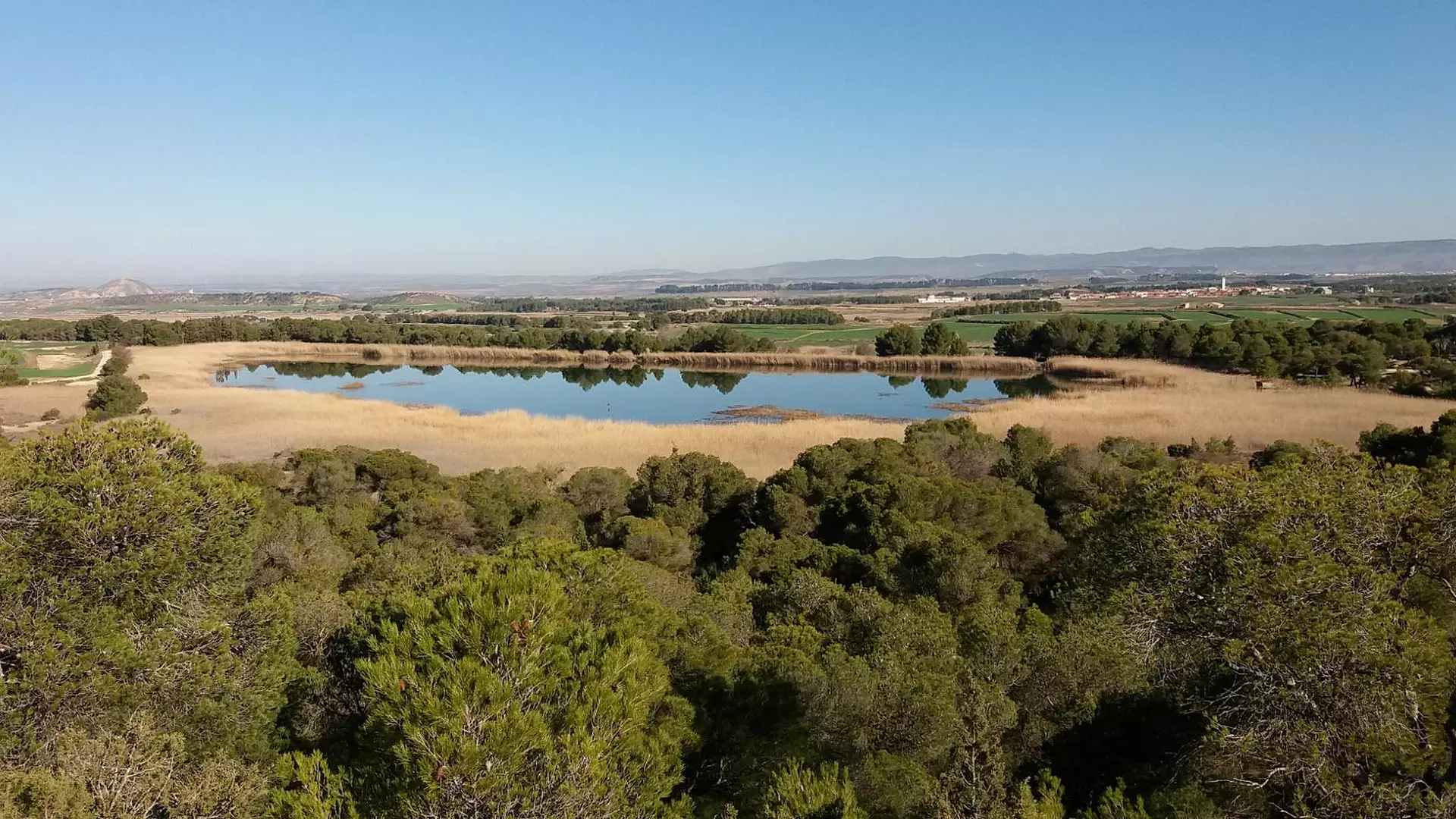 embalse del ferial